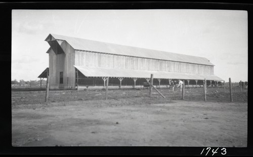 Hay and Shelter Barn, West side Dairy - Sacramento - Mr. Archer, leasee