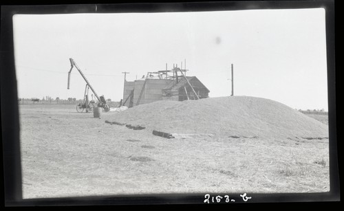 Elevators and Farms Storage, T.A. Kilkenny, Dixon (b)