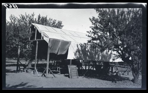 Temporary Fruit Packing House, Ranch of Brother in law of Prof. Tufts, Winters, California