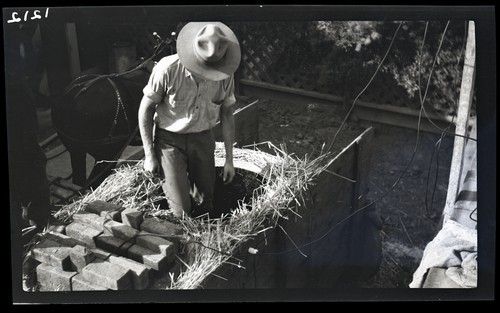 Electrical Conserving of Green Forage crops