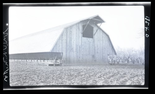 Dairy Cattle Feeding Barn, Glide Ranch. Barn located west of Highway to Dixon at Putah Creek
