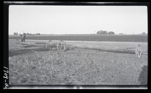 Harrow Cart, 3 miles west of Nicolaus, California (a)