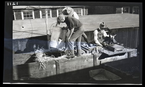 Electrical Conserving of Green Forage crops