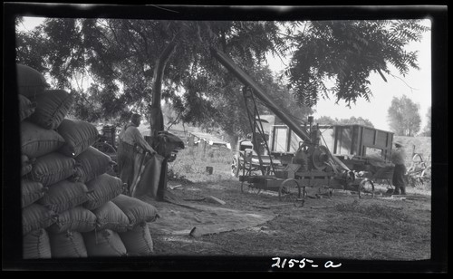 Elevator and Farm Storage, Thaxton Ranch, Grimes, California (a)