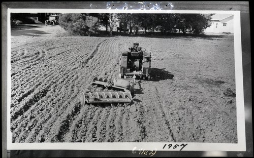 Towner Disc Harrow, Davis, California