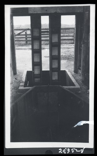 Harvesting Grain in Bulk, Fred Harvey - Galt, California (f)