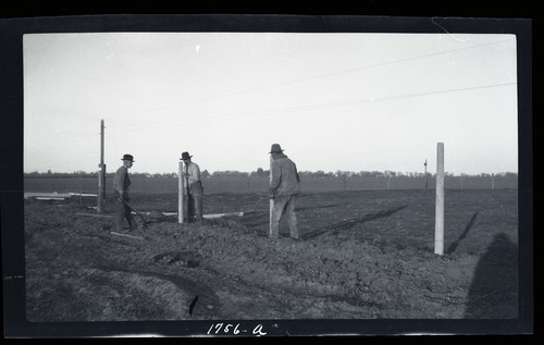 Concrete Fence Posts, University Farm, Davis, California