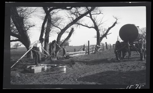 Steel Fence Posts - Test Fence, Armstrong Tract