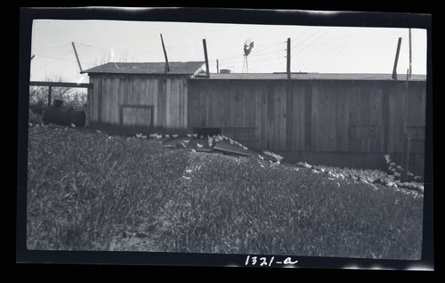 Brooder House, Grace Johnson's poultry ranch, Healdsburg