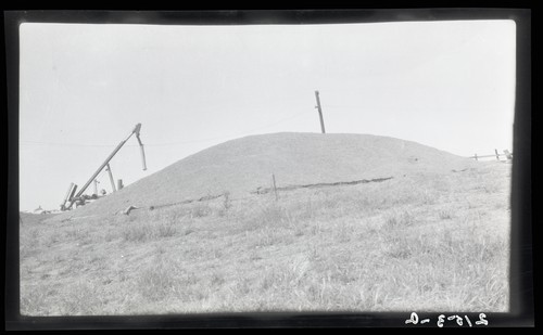 Elevators and Farms Storage, T.A. Kilkenny, Dixon (a)