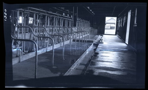 Barn Conveniences, Near Hollister, San Benito