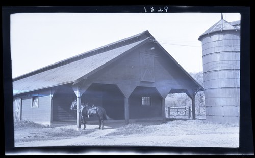 Horse Barn, Regent Foster's Ranch