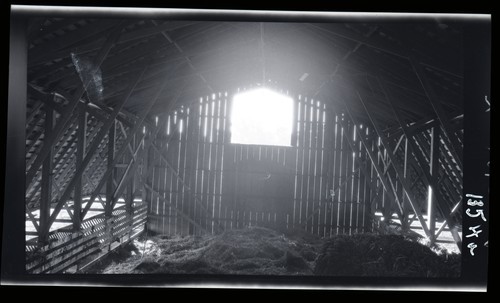 Dairy Cattle Feeding Barn, Glide Ranch. Barn located west of Highway to Dixon at Putah Creek