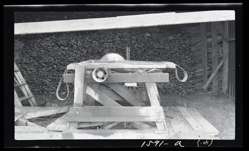 Saw for Cutting Firewood, Pierce Ranch
