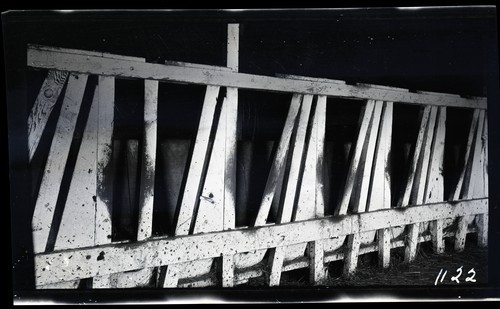 Cow Stanchion, Dairy 2 mi. of Sebastopol on Santa Clara Road