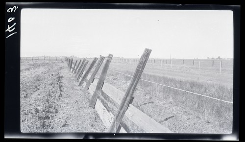 Fencing, Cross road from G.N. Merritt Ranch 5 miles north of Davis, California