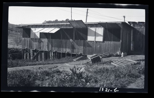 Brooder House, Grace Johnson's poultry ranch, Healdsburg