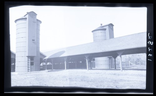 Milking Barn and Shelter Shed, Regent Foster's Ranch