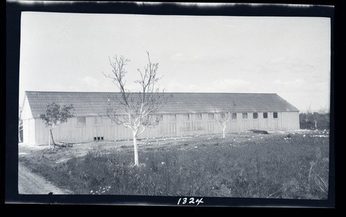 Brooder House, Frisnan ranch near Santa Rosa