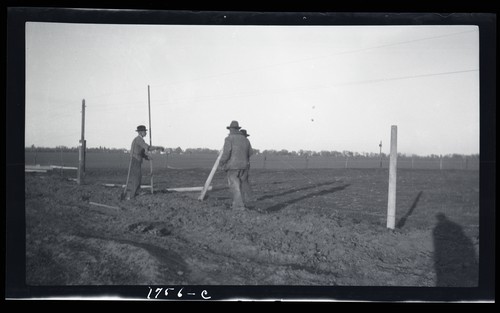 Concrete Fence Posts, University Farm, Davis, California