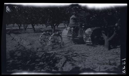 Subsoiler in Orchard