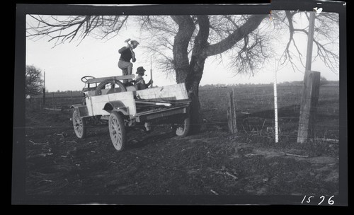 Steel Fence Posts - Test Fence, Armstrong Tract, University Farm