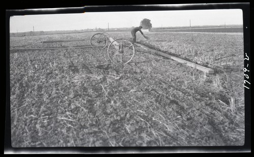 Harrow Cart, 3 miles west of Nicolaus, California (b)