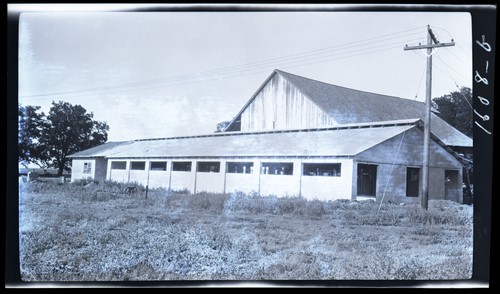 Milking Barn and Milking House, A.W. Morris and Sons, Knights Landing