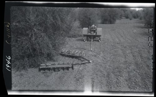 Towner Disc Harrow with Long Hinge Arms, Davis, California (Olive Orchard)