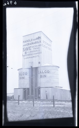 Bulk Handling of Grain, Near Willows
