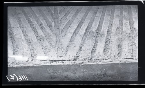 Milking Barn, Floor of Concrete