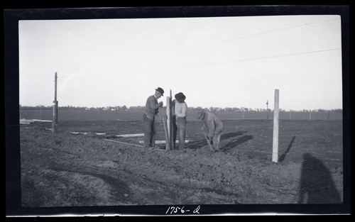 Concrete Fence Posts, University Farm, Davis, California
