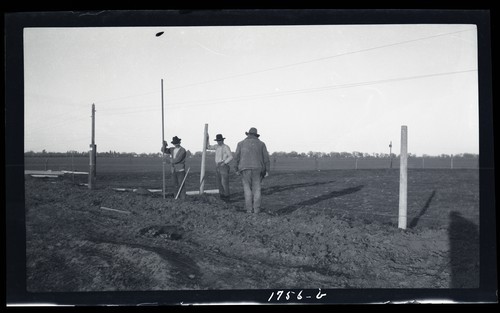 Concrete Fence Posts, University Farm, Davis, California