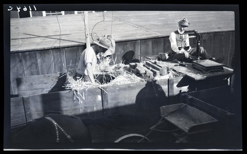 Electrical Conserving of Green Forage Crops, Davis, California