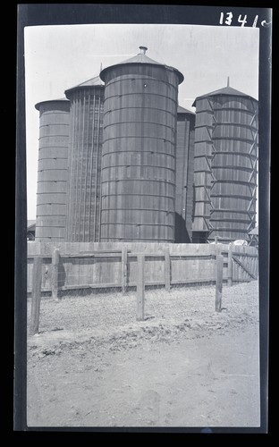 Battery of Wood Silos at University Farm, Davis