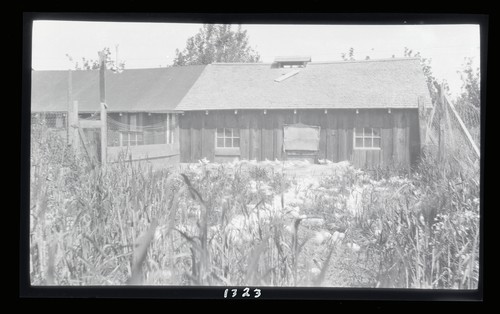 Brooder House and Yards, Burkes Poultry Ranch near Santa Rosa