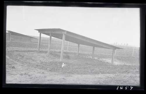 Shelter for Hogs, University Farm