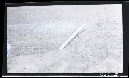 Steel Fence Posts, G.N. Merritt ranch 3 miles north of Davis (b)