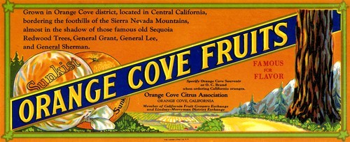Orange Cove Fruits