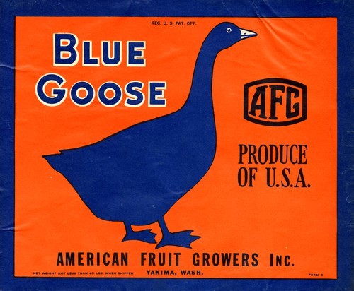 Blue Goose