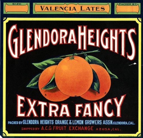 Glendora Heights Extra Fancy