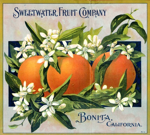 Sweetwater Fruit Company