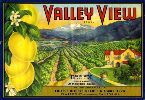 Valley View