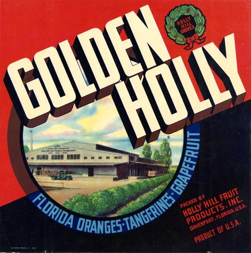 Golden Holly