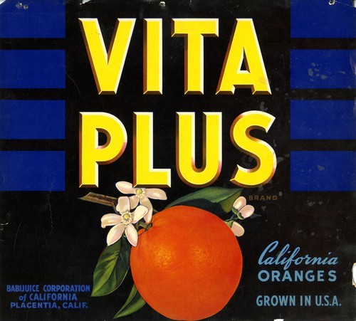 Vita Plus