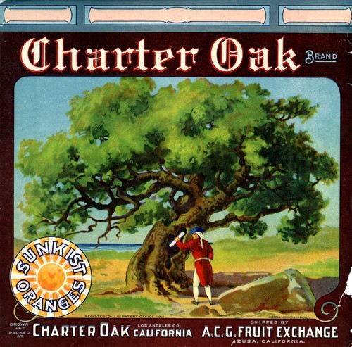 Charter Oak