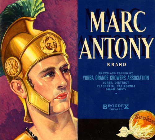 Marc Antony