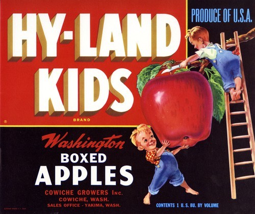 Hy-Land-Kids