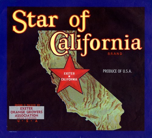 Star of California