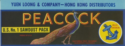 Peacock